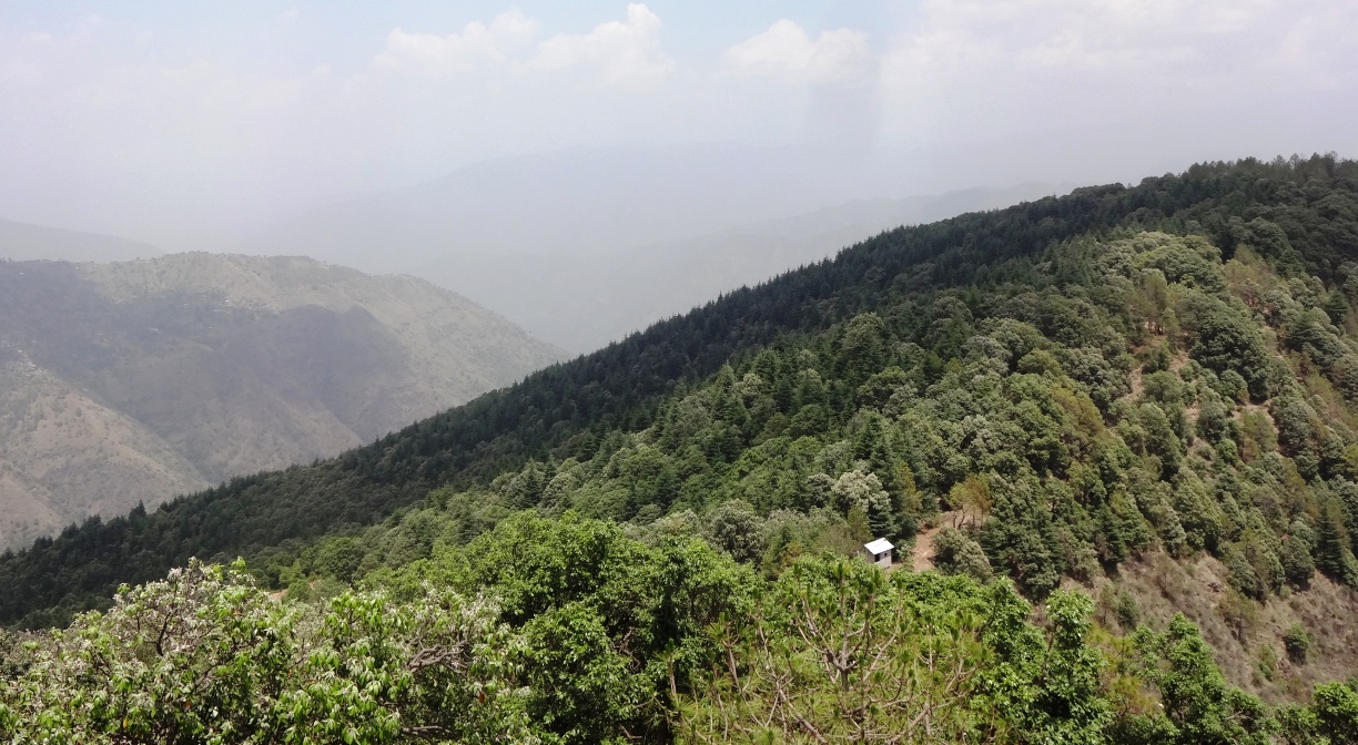 Chail Travelogue: Perfect Hill-Station for Solitude